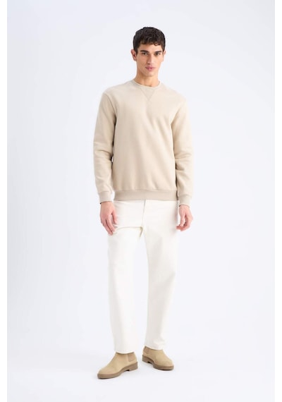 DeFacto Regular Fit Bisiklet Yaka Kalın Basic Düz Sweatshirt T3777AZ25SPBG735