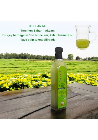 Hanzade Bitkisel Sıvı Klorofil Kürü Cam 500 ML
