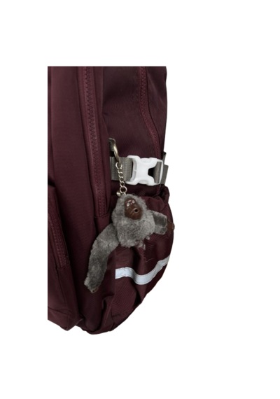 Astral London Drive Sırt Çantası Bordo 06158 50x33x21 Cm Geniş Hacim, Çok Bölmeli Tasarım