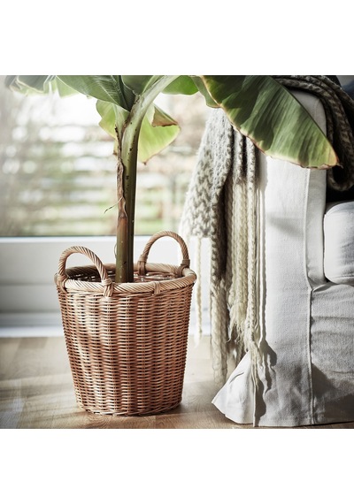 Ikea Kaktusfikon Rattan Saksı 24 Cm Naturel