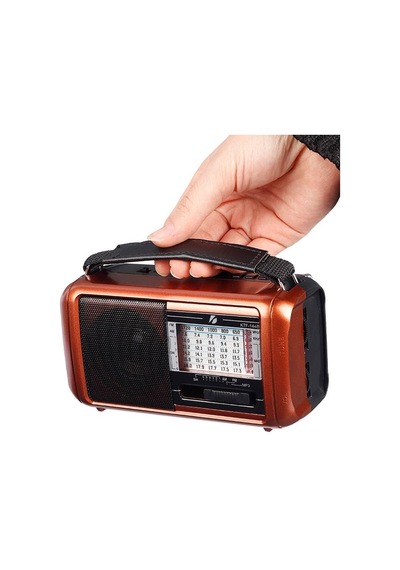 G-Technology DEX-1448 Güneş Enerjili Şarjlı Radyo