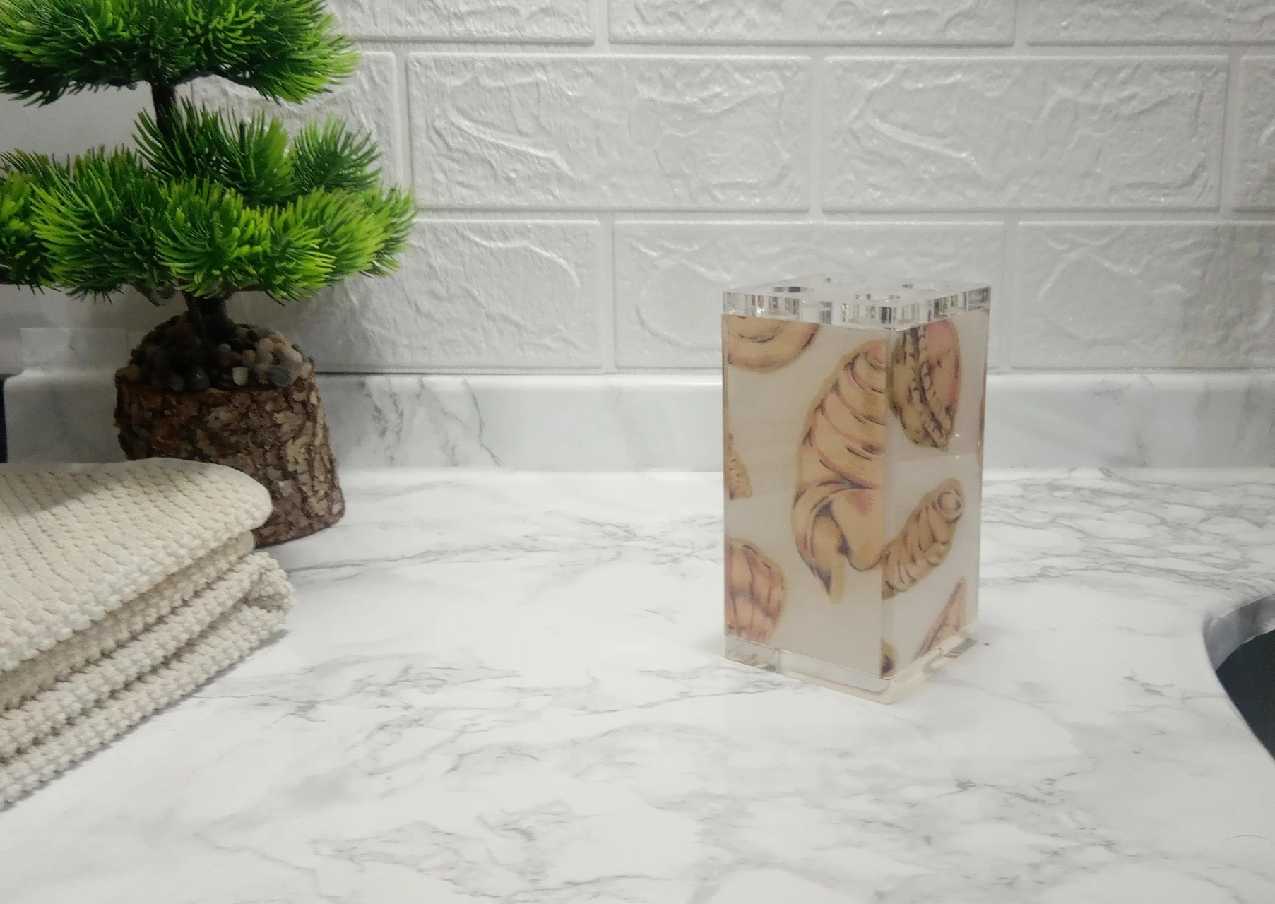2 Adet Diş Fırçalık İstiridye Akrilik 6x6x12cm Banyo Seti Çok Renkli