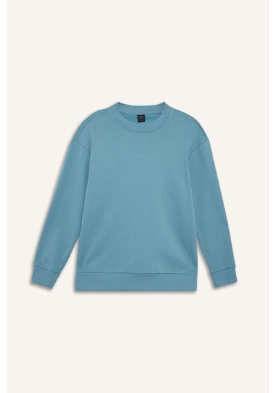 Defacto Boxy Fit Bisiklet Yaka Baskılı Sweatshirt X8282az25augn203 Yeşil Defacto Boxy Fit Bisiklet Yaka Baskılı Sweatshirt X8282az25augn203 Yeşil