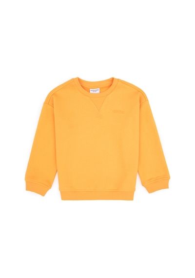 U.S. Polo Assn. Erkek Çocuk Mango Bisiklet Yaka Basic Sweatshirt 50313829-VR244