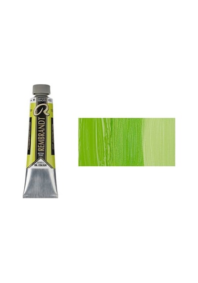 Rembrandt 40 ML Yağlı Boya Seri:1 No:629 Green Earth