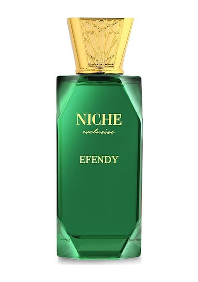 Niche Exclusive Efendy Erkek Parfüm EDP 100 ML
