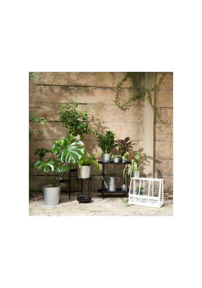 Akerbar Mini Sera, Beyaz