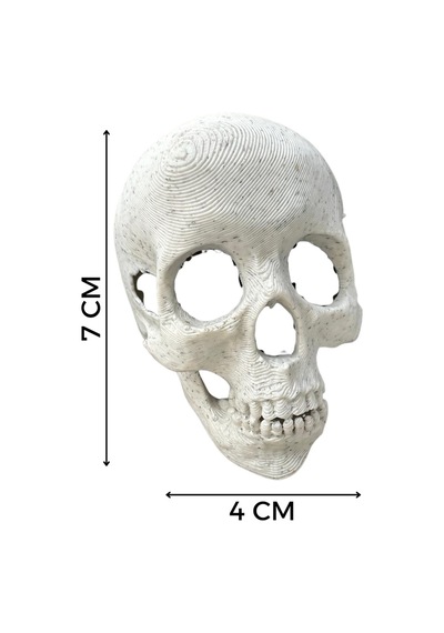 Sıra Dışı Kafatası Dekoru - Akvaryum Ve Koleksiyon İçin Özel Tasarım Skull-dec, One Size