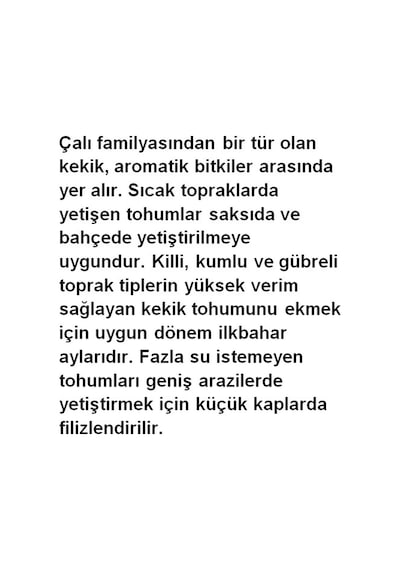 AGRodal Tarım Ata Tohumu Yöresel Kekik Tohumu 1000 Adet Tohum