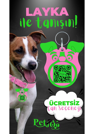 Petjoo 22.Layka Yeşil-Pembe Qr'lı Köpek Künyesi