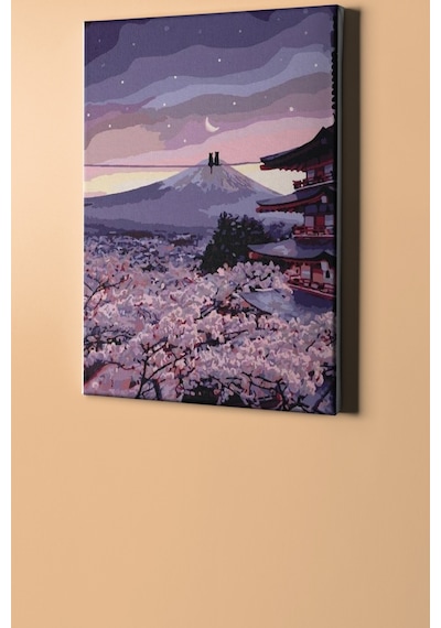 Webstyle Sayılarla Boyama Seti Kasnaklı Teldeki Kediler 50 X 65 Cm