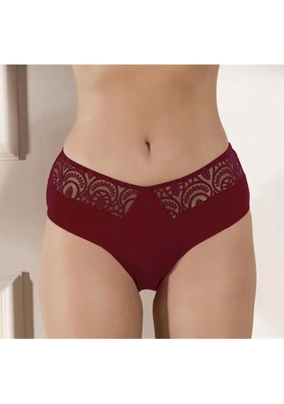 Fevien Slip Külot Bordo Brf21821 Bordo