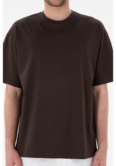 U.S. Polo Assn. Erkek Comfort Fit Bisiklet Yaka Kahverengi Merserize Basic Tişört 50313089-VR029