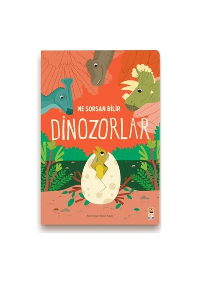 Ne Sorsan Bilir Minik - Benim İlk Dinozorlar Kitabım - Fglt-761875