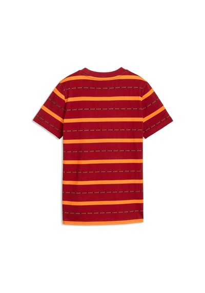 Puma Galatasaray Ftblculture Genç Tişört 786846 01 Kırmızı