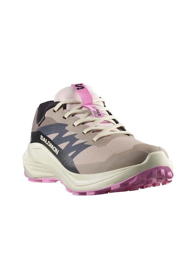 Salomon Alpha Glide Gtx W Gore-tex L47857900 Erkek Spor Ayakkabı Pudra