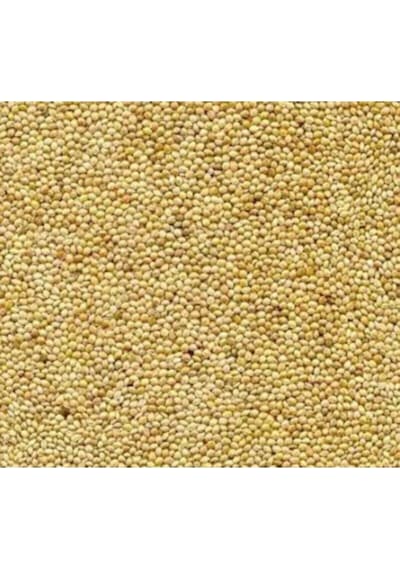 Mezbi Muhabbet Kuşu Yemi Ak Darı 5 KG