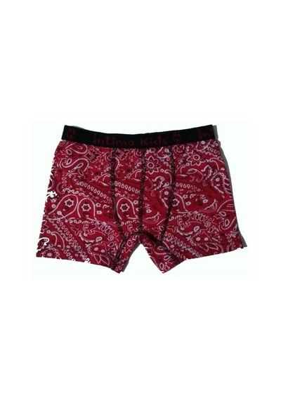12 Li Paket İntimo Kids Erkek Çocuk Desenli Likralı Boxer 001