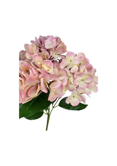Yapay Çiçek Islak Ortanca Çiçeği Pembe Açık 45cm 5dal Islak Gerçeksi Dokulu Pembe