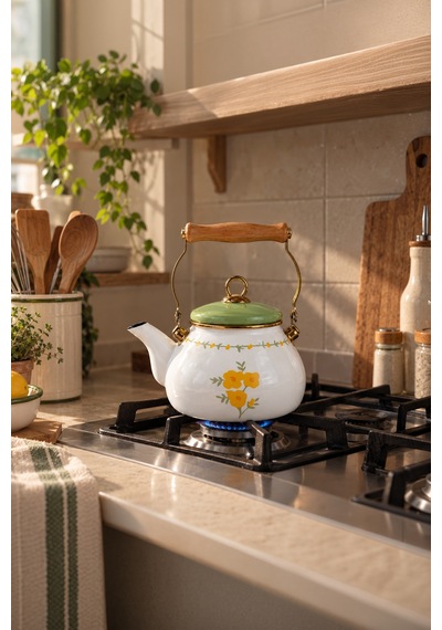Bernardo Almera Emaye Kettle 2 Litre Gümüş