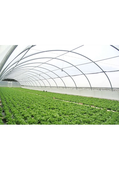 36 Aylık Sera Naylonu 350 Mikron 10x10 Uv-ab-ır-eva-ld Katkılı