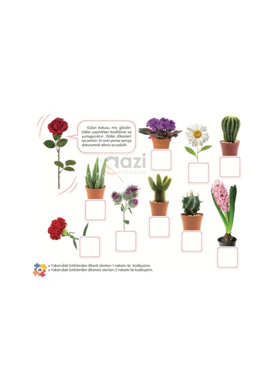 Kodlama 2'li Kitap Seti 4-6 Yaş / Dokun - İşit - Kodla / Bak - Gör - Kodla 160 Sayfa