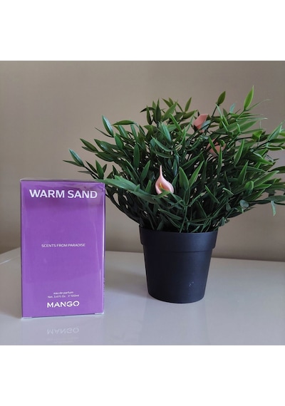Warm Sand Edp 100 Ml Kadın Parfümü Narenciye