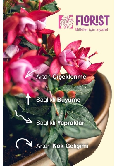 Florist Çiçekli Bitkiler Sıvı Konsantre Bitki Besini Diğer