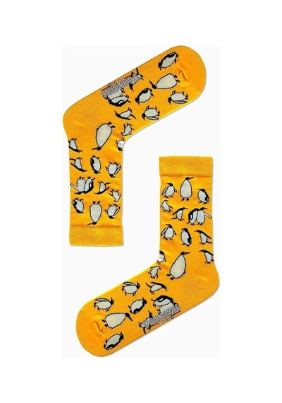 Carnaval Socks 5'li Sevimli Hayvanlar Desenli Şirin Çorap Kutusu Çok Renkli