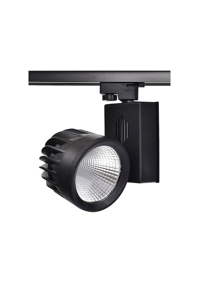 Philips Ledli 30W Trifaze Siyah Ray Spot 12cm Sarı Işık 2700K