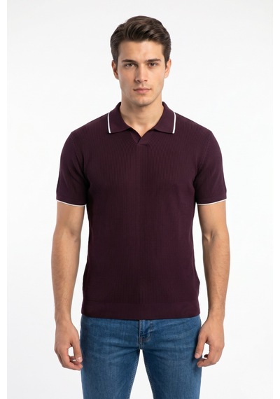 Baglan Erkek Spor Polo Yaka Triko Tişört Bgl-st05374 Mürdüm