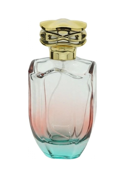 Parfüm Şişesi 100 Ml 2 Adet Çift Renkli Oval Model