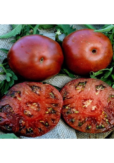Black Krim Domates Tohumu 15 Tohum 1 Paket