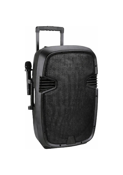 Ten,profesyonel 15'' Çift El Mikrofonlu Taşınabilir Ses Sistemi, Bluetooth, Usb, Şarjlı Profesyonel Hoparlör