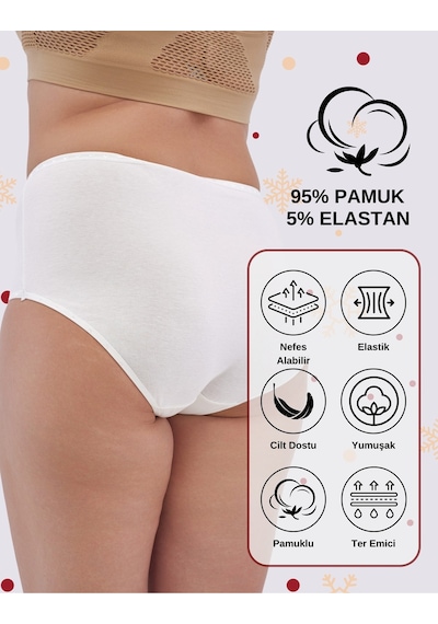 Alya Underwear Kadın Büyük Beden Külot Battal Full Brief, Yüksek Bel 5xl, 6xl, 7xl 5 Farklı Renk 1 Pakette Çok Renkli P41