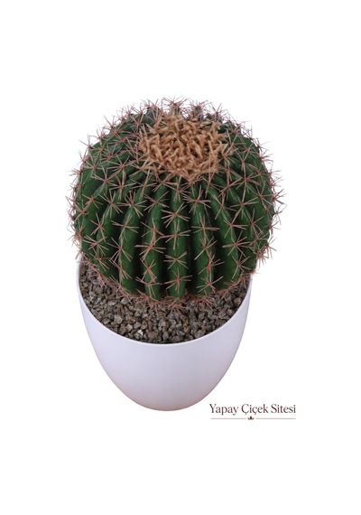 Yapay Çiçek Sitesi Plastik Saksıda 2li Mini Yapay Kaktüs Aranjmanı 45 Cm Yeşil
