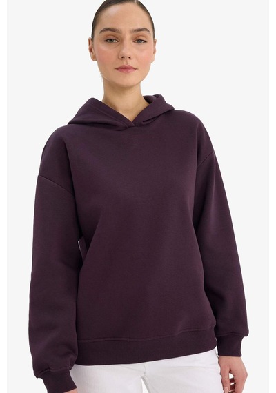 Defacto Relax Fit Kapüşonlu Basic Düz Kalın Sweatshirt D9935ax25wnpr38 Mor-pr38