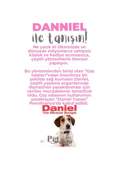 Petjoo 21.Danniel Gri-Pembe Qr'lı Köpek Künyesi