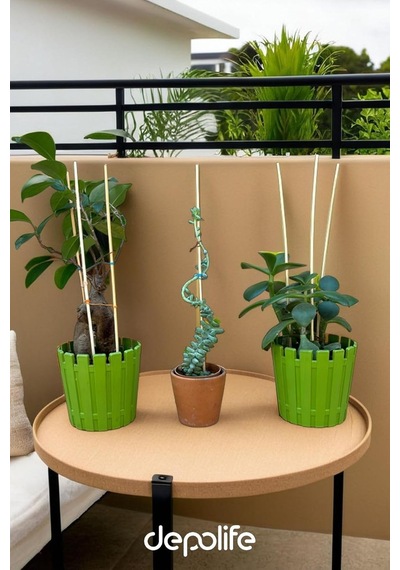 Depolife Bitki Fidan Saksı Destek Kazığı 10 Adet 30cm Bambu Destek Çubuğu Seti