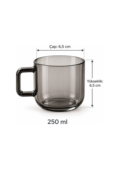 Qerhome Borosilikat Cam Vetra 6 Lı Renkli Cam Kupa Seti 250 Ml Çok Renkli