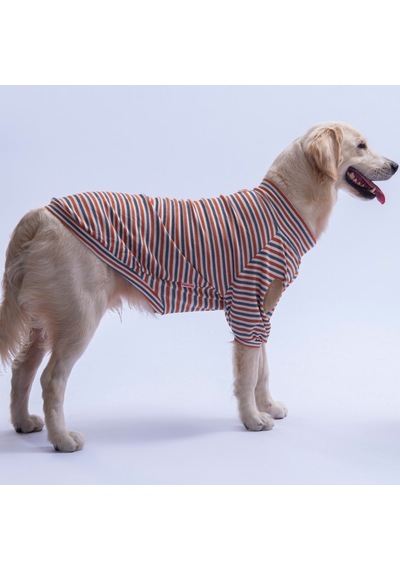 Pawstar Kiremit Marseille Orta-büyük Irk Çizgili Köpek Sweati Köpek Kıyafeti Pawstar Kiremit Marseille Orta-büyük Irk Çizgili Köpek Sweati Köpek Kıyafeti