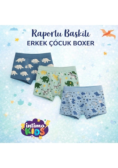 Lumina İntimo Erkek Çocuk Raporlu Desenli Boxer-renkli-11.12 Yaş - 9076043225176