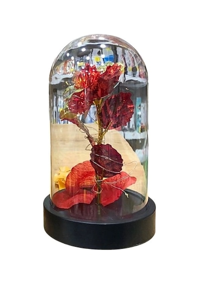 Storeşahin Küçük Işıklı Fanus Shn0720