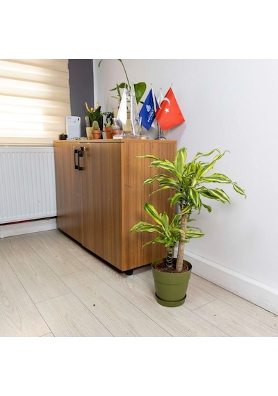 Poliwork Tabaklı Plastik Saksı 2,2 Lt 165 155 Mm