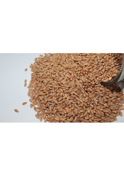Buğday Tavuk.Güvercin Yemi 3  Kg