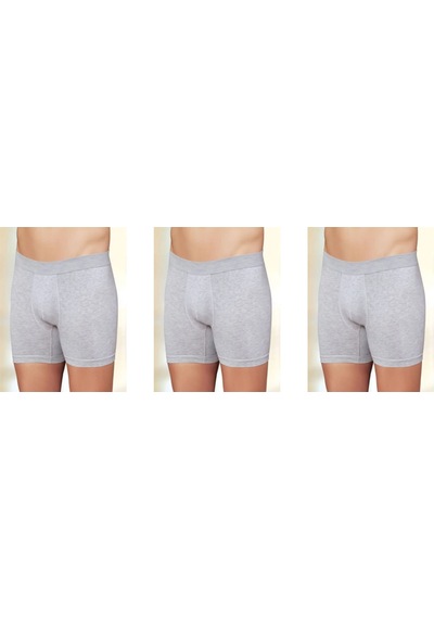 İki Yıldız Erkek Likralı Pamuk Penye Boxer 3'lü Paket 12020 Gri