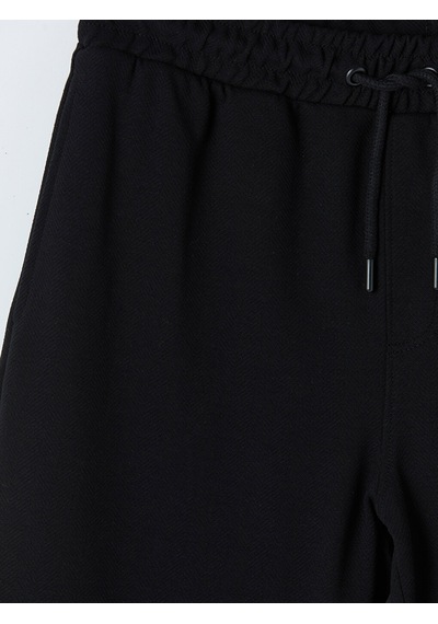 Lcwaıkıkı Classic Siyah Regular Fit Erkek Şort