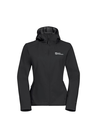 Jack Wolfskin Jack Wolfskın Bornberg Hoody W 6000 Siyah