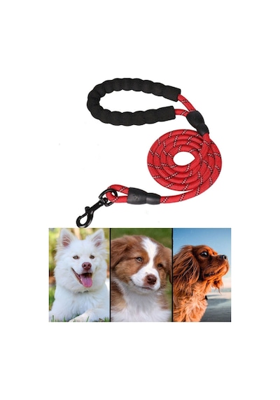Mucit Home Köpek Gezdirme Tasma Kayışı 40 Kg'a Kadar Köpekler Için Tasma Halatı Gezdirme Ipi 150 Cm Çok Renkli