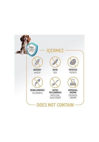 Felicia Derma Care Somonlu Orta Ve Büyük Irk Yetişkin Köpek Maması 6kg